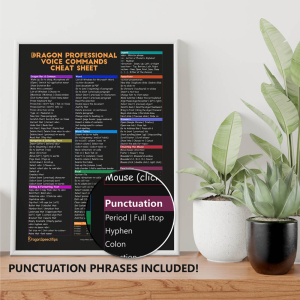 Dragon Professional Voice Commands Cheat Sheet in a frame